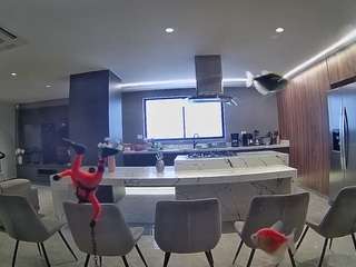 voyeurcam-casa-salsa-fishtank