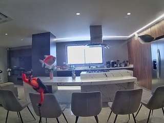 voyeurcam-casa-salsa-fishtank