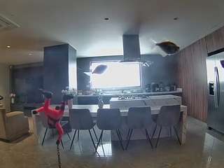 voyeurcam-casa-salsa-fishtank