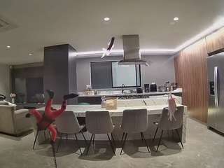 voyeurcam-casa-salsa-fishtank