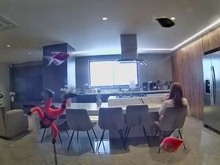 voyeurcam-casa-salsa-fishtank