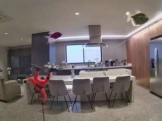 voyeurcam-casa-salsa-fishtank