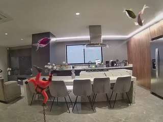 voyeurcam-casa-salsa-fishtank