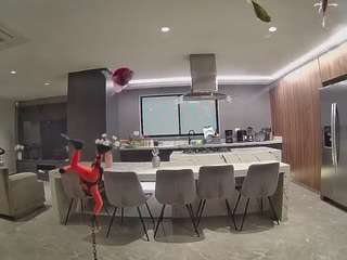 voyeurcam-casa-salsa-fishtank