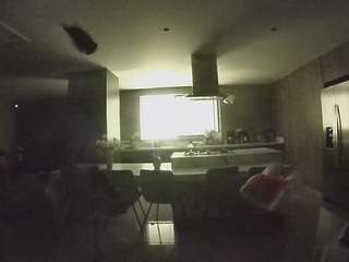 voyeurcam-casa-salsa-fishtank