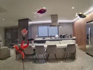 voyeurcam-casa-salsa-fishtank