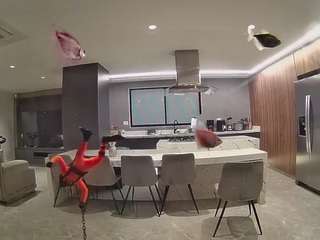voyeurcam-casa-salsa-fishtank
