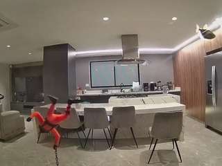 voyeurcam-casa-salsa-fishtank