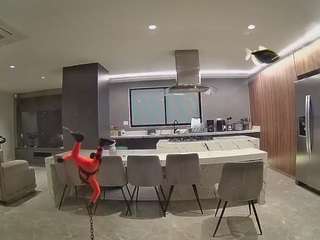 voyeurcam-casa-salsa-fishtank