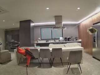 voyeurcam-casa-salsa-fishtank