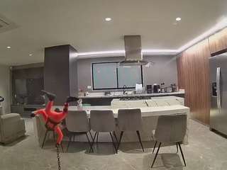 voyeurcam-casa-salsa-fishtank