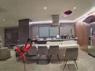 voyeurcam-casa-salsa-fishtank