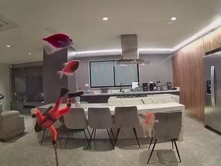 voyeurcam-casa-salsa-fishtank webcam model