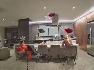 voyeurcam-casa-salsa-fishtank