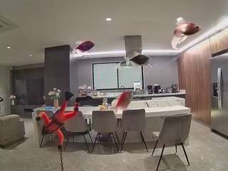 voyeurcam-casa-salsa-fishtank