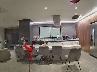 voyeurcam-casa-salsa-fishtank