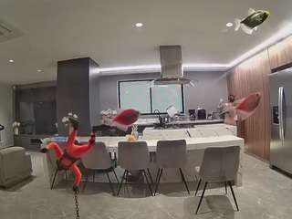 voyeurcam-casa-salsa-fishtank