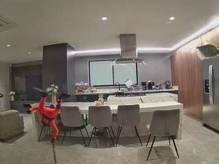 voyeurcam-casa-salsa-fishtank