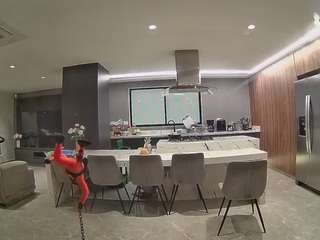 voyeurcam-casa-salsa-fishtank