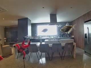 voyeurcam-casa-salsa-fishtank