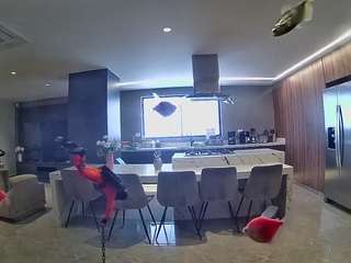 voyeurcam-casa-salsa-fishtank