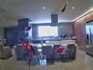 voyeurcam-casa-salsa-fishtank