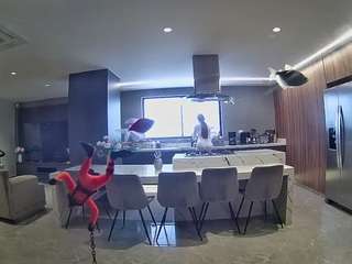 voyeurcam-casa-salsa-fishtank