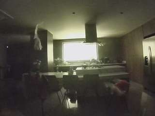 voyeurcam-casa-salsa-fishtank