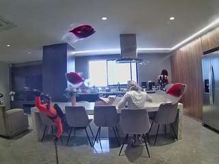 voyeurcam-casa-salsa-fishtank