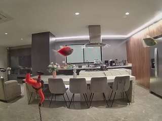 voyeurcam-casa-salsa-fishtank