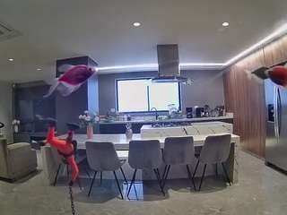 voyeurcam-casa-salsa-fishtank