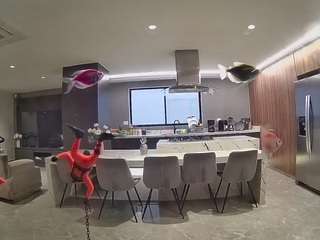voyeurcam-casa-salsa-fishtank