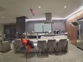 voyeurcam-casa-salsa-fishtank