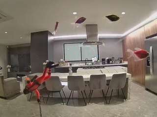 voyeurcam-casa-salsa-fishtank
