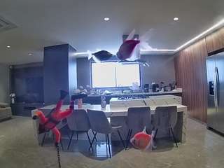 voyeurcam-casa-salsa-fishtank