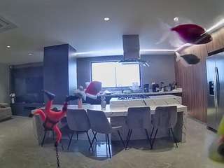 voyeurcam-casa-salsa-fishtank