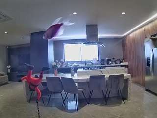 voyeurcam-casa-salsa-fishtank