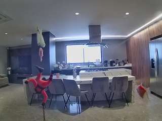 voyeurcam-casa-salsa-fishtank