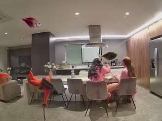 voyeurcam-casa-salsa-fishtank