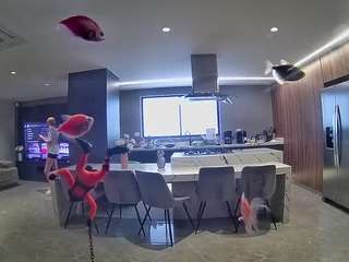 voyeurcam-casa-salsa-fishtank