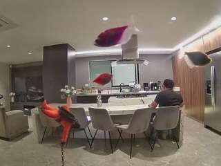 voyeurcam-casa-salsa-fishtank