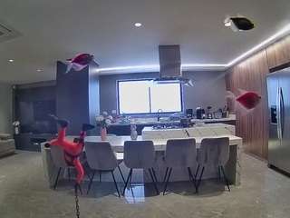 voyeurcam-casa-salsa-fishtank