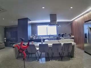 voyeurcam-casa-salsa-fishtank