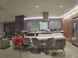 voyeurcam-casa-salsa-fishtank