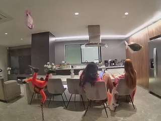 voyeurcam-casa-salsa-fishtank