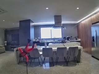 voyeurcam-casa-salsa-fishtank