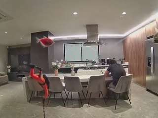 voyeurcam-casa-salsa-fishtank