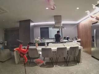 voyeurcam-casa-salsa-fishtank