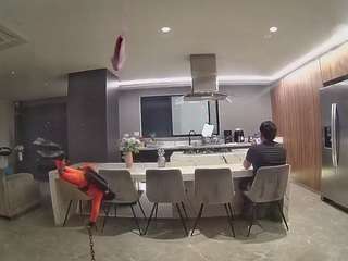 voyeurcam-casa-salsa-fishtank