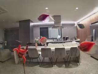 voyeurcam-casa-salsa-fishtank